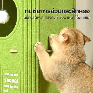 PET LIFE ทรงกระบอก บ้านแมว รังแมวหลายชั้น ที่ลับเล็บแมว รังกระดานขูดแมวสักหลาด นุ่มสบาย 2-3 ชั้น ขนาดใหญ่พิเศษ