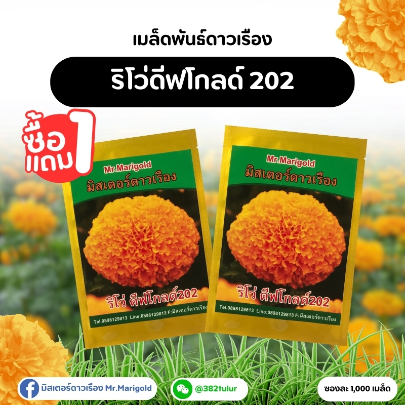 เมล็ดพันธุ์ดาวเรืองรีโว่ดีฟโกลด์ 202 1 แถม 1 (1,000 เมล็ด) / มิสเตอร์ดาวเรือง