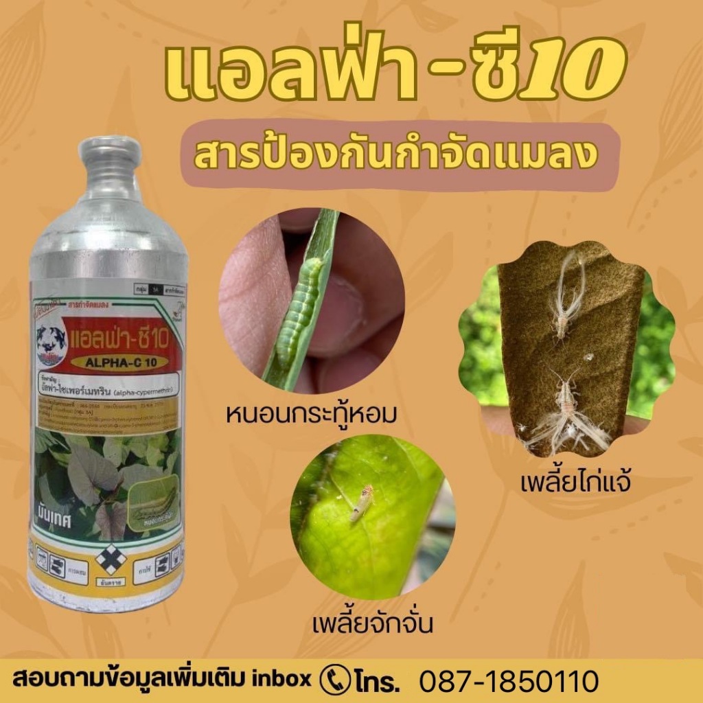 แอลฟ่า-ซี 10 อัลฟา-ไซเพอร์เมทริน ยากำจัดแมลง