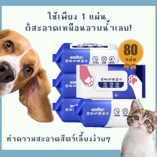 STOCK ทิชชู่เปียกสุนัข ทิชชู่เปียกแมว กระดาษเปียกทำความสะอาดสัตว์เลี้ยง ทิชชู่เปียกสัตว์เลี้ยง 80 แผ่น 🐶🐱