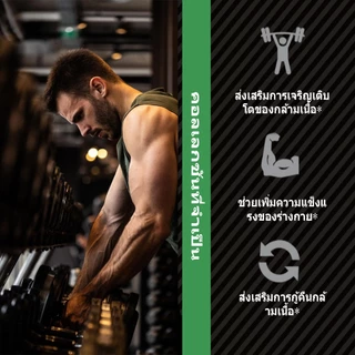 Ozmolts Creatine Monohydrate Powder ผงครีเอทีน ปรับปรุงความอดทน อาหารเสริมกีฬา ครีเอทีน อาหารเสริม Unflavored 300g