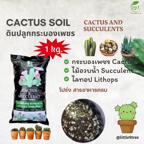 ดินปรุงสำเร็จสำหรับcactusไม้อวบน้ำไลทอบไม้โขด. 1 kg. (cactus 35 THB) VDO