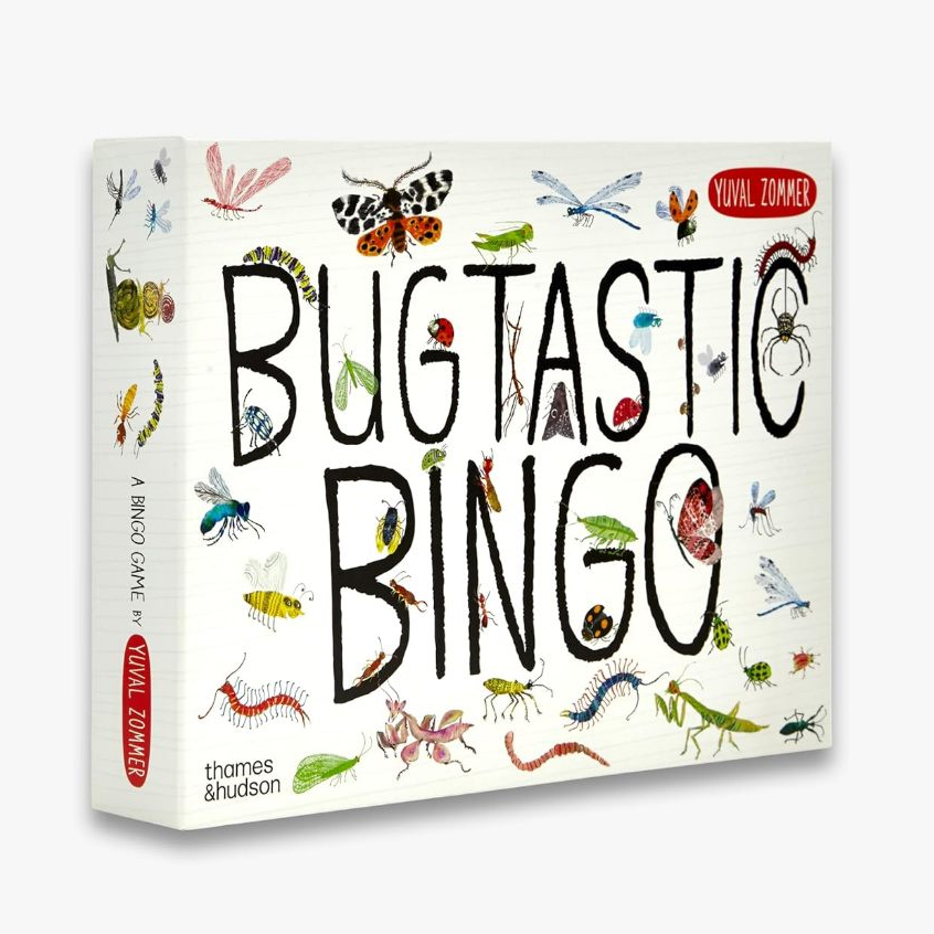 DKTODAY หนังสือ THAMES & HUDSON : BUGTASTIC BINGO