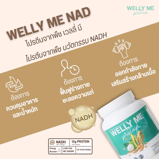 (10 กระปุก) (เเถมแก้ว) เวลลี่ มี เเนด โปรตีนพืช Welly Me NAD