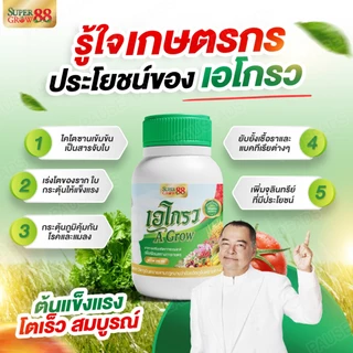 A Grow เอโกรว อาหารเสริมสกัดจากธรรมชาติ ปุ๋ยชีวภาพ ไคโตซาน ปุ๋ยเออนันต์ ขนาด 250 ซีซี