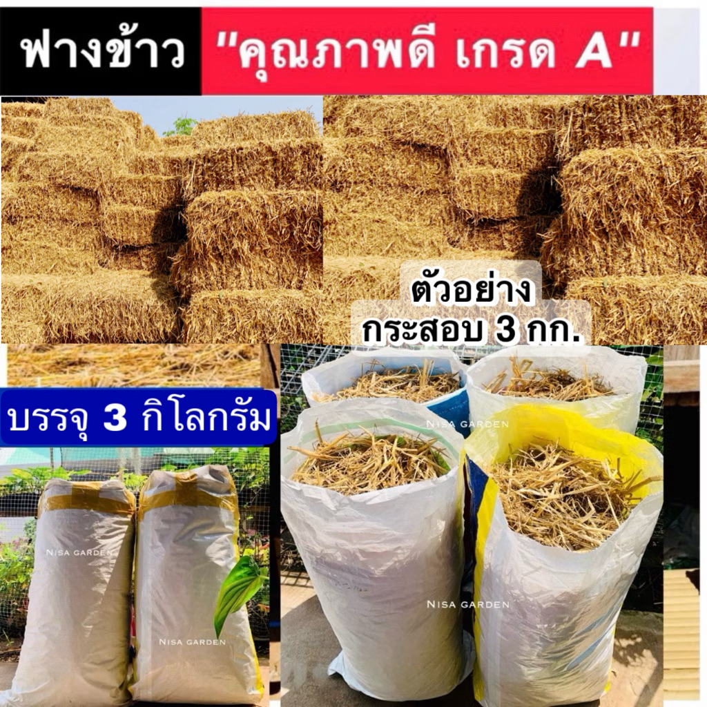 Nisa Garden ฟาง ฟางข้าว 1 กิโลกรัม (ล็อตใหม่ ปี 2569) ไม่ชื้น ไม่รา