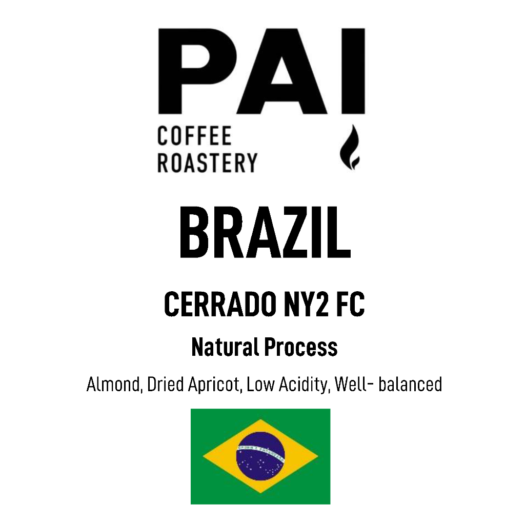 เมล็ดกาแฟ BRAZIL CERRADO NY2 FC Natural โรงคั่วปายกาแฟ Taste Noted Almond,Dried Apricot, Low Acidity, Well- balance