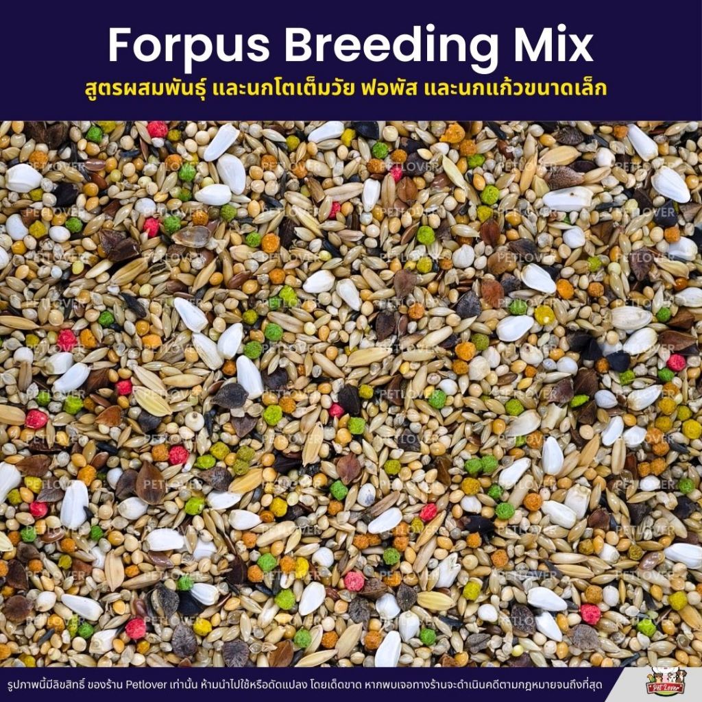 Petlover Forpus Breeding อาหารนกแก้ว ฟอพัส สูตรโตเต็มวัย และเพาะพันธุ์ (แบ่งขาย 500G / 1KG) รูปที่ 5