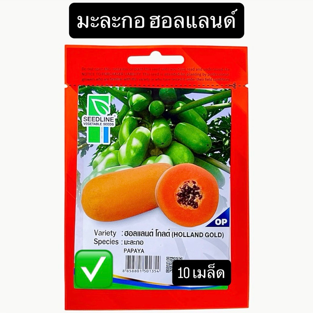 มะละกอ ฮอลแลนด์ โกลด์ (10 เมล็ด) ซีดไลน์