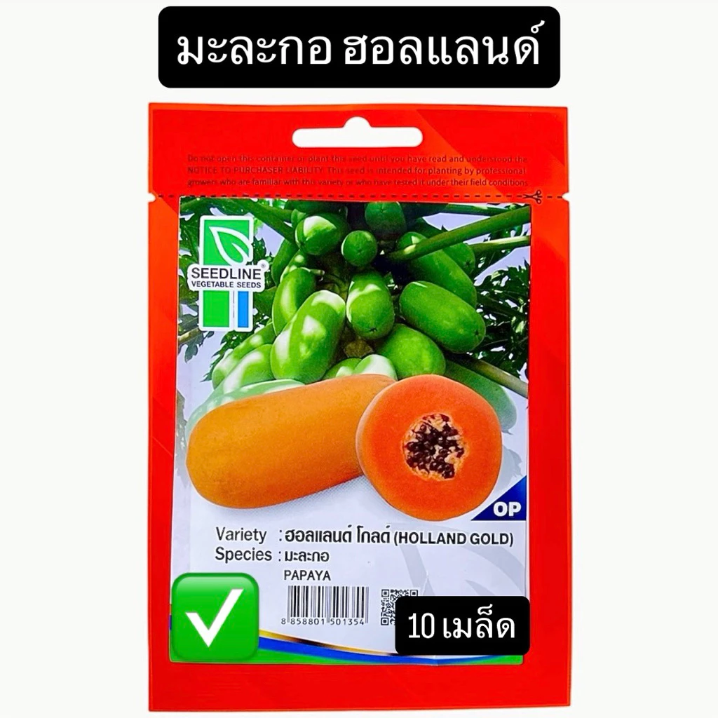มะละกอ ฮอลแลนด์ โกลด์ (10 เมล็ด) ซีดไลน์