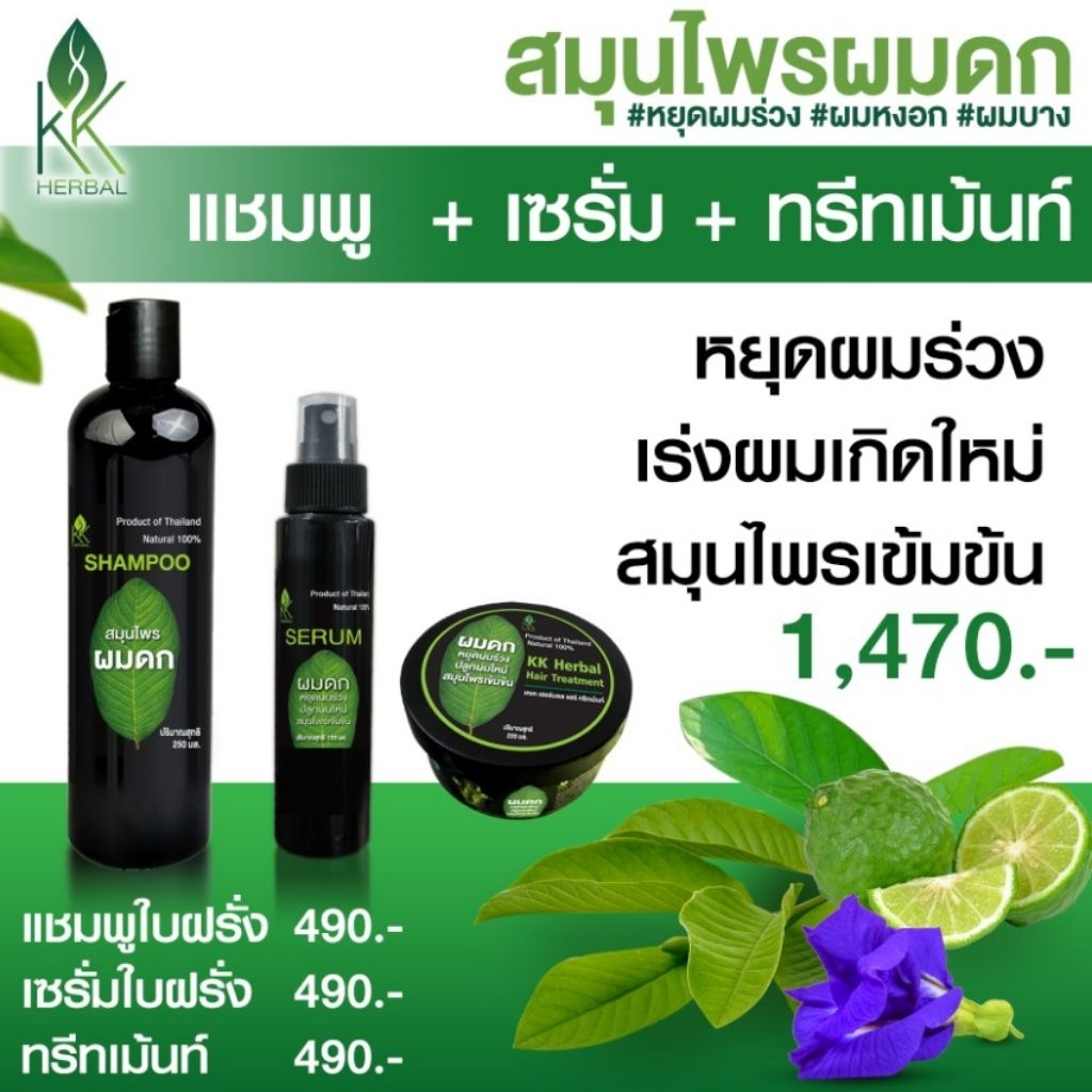 ปลูกผม เซรั่มใบฝรั่ง100ml+แชมพูใบฝรั่ง250ml+ทรีทเม้นต์200มล. ปลูกผมดก หยุดผมร่วง ผมบาง เร่งผมเกิดใหม่ สมุนไพรผมดก