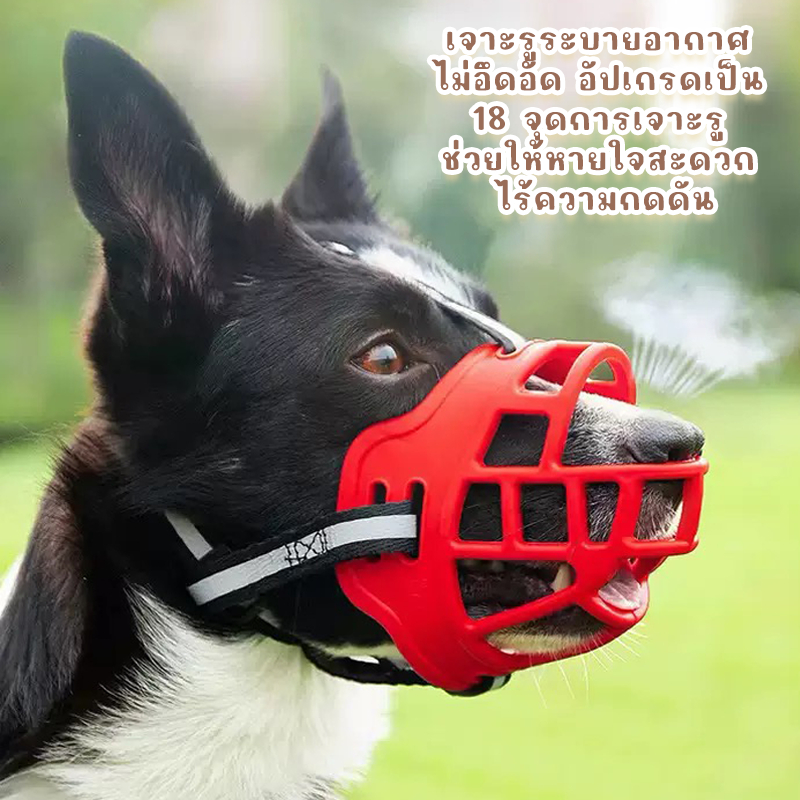 STOCK ตะกร้อปากสุนัข ป้องกันการกัด ป้องกันไม่ให้สุนัขกินสิ่งแปลกปลอม ป้องกันการเห่า ไม่อึดอัด ดื่มน้ำได้ หายใจสะดวก