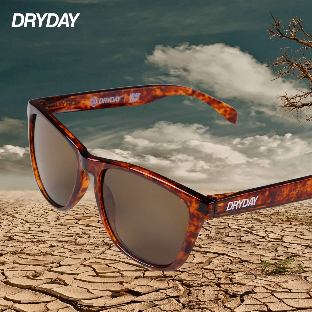 DRYDAY - REGULAR - SHINE TORTOISE