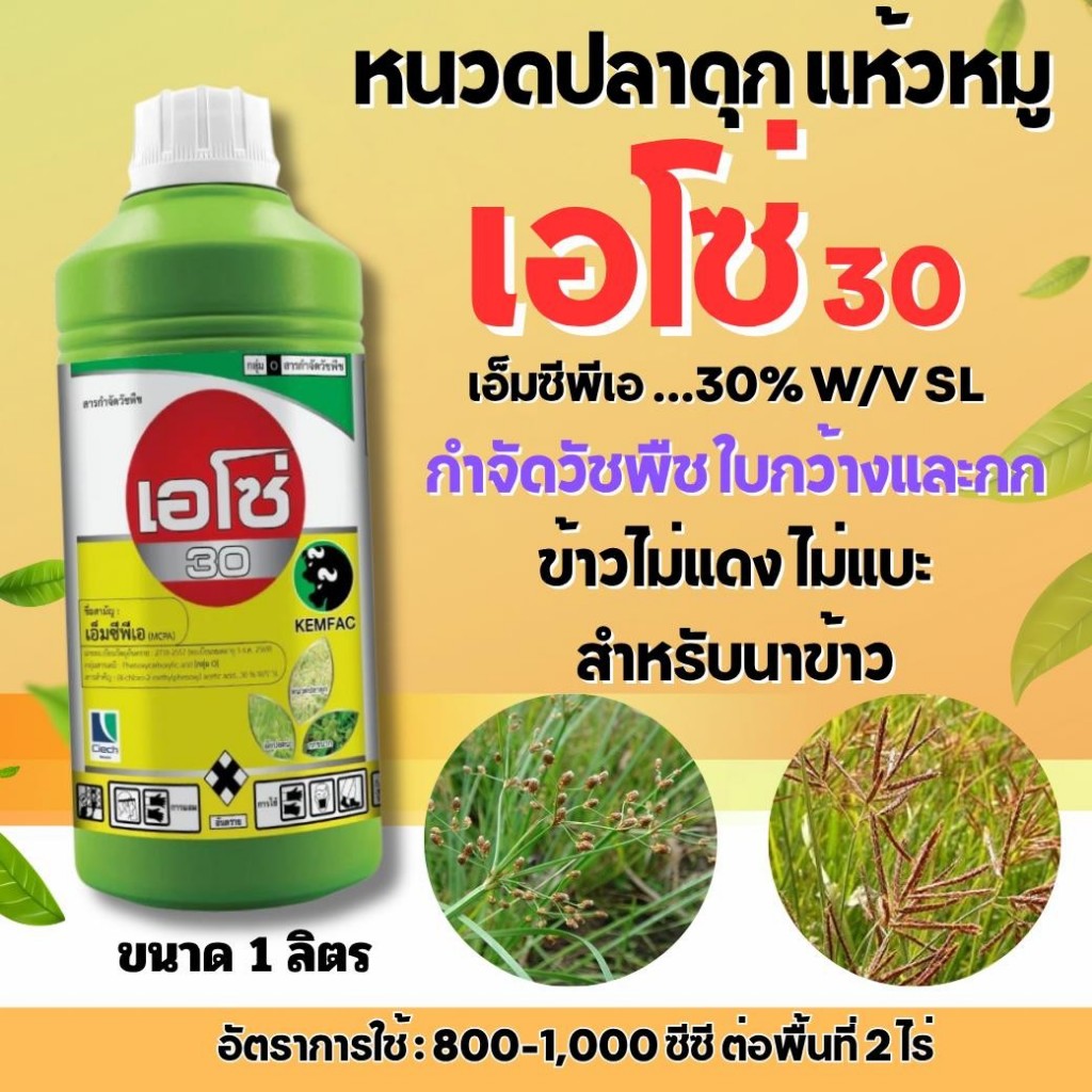 เอโซ่ 300 เขียว ขนาด 1000cc กก กำจัดวัชพืช หนวดปลาดุก แห้วหมู