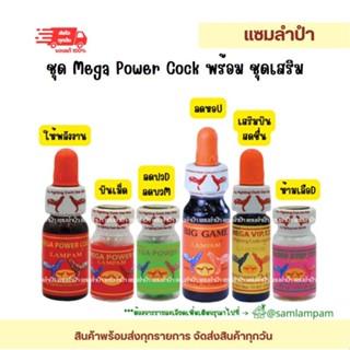 ลำปำ…อาหารสัตว์ปีก “เมก้า” เพาเวอร์บิ๊กเกมส์น้ำฟ้าT270