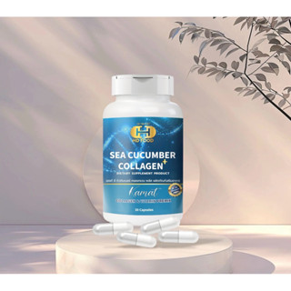 ปลิงทะเลชนิดแคปซูล sea cucumber collagen Plus+  บรรจุ 30 แคป…