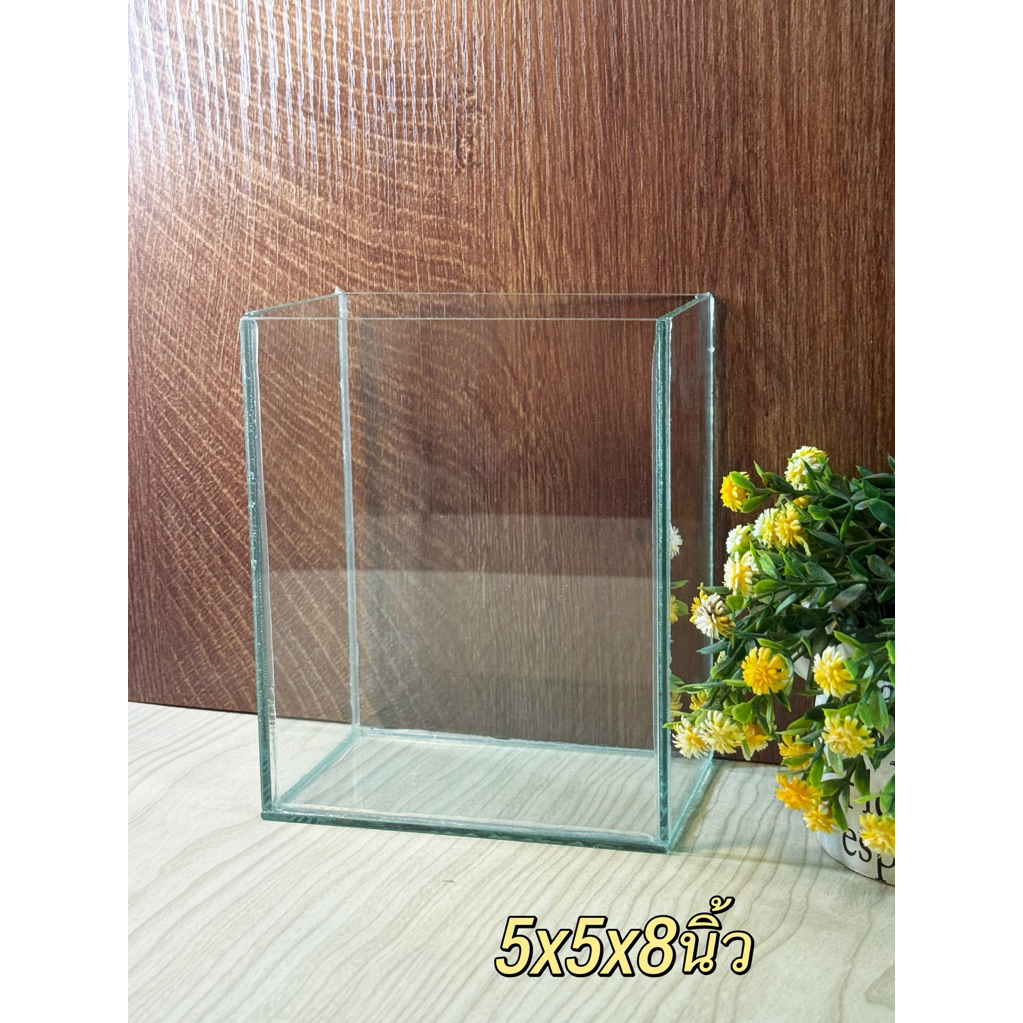 พร้อมส่ง โหลปลากัด 5x5x8 นิ้ว กระจกหนา 3 มิลลิเมตร