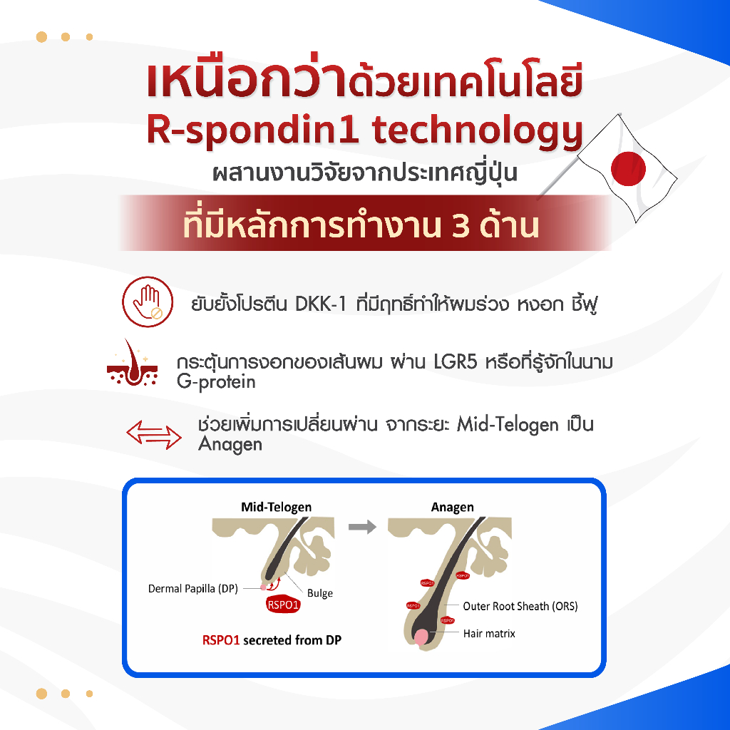 Vital แฮร์สเปรย์ พลัส 11อะมิโน สำหรับฉีดพ่นหนังศีรษะเพื่อบำรุงเส้นผม ขนาด 50มล. - รูปที่ 3