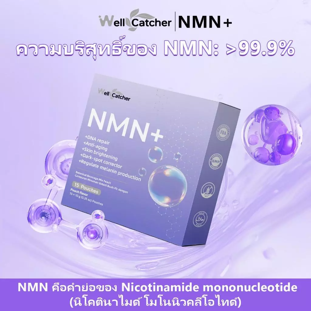 Wellcatcher NMNREV500 ผลิตภัณฑ์เสริมอาหาร thumbnail 7