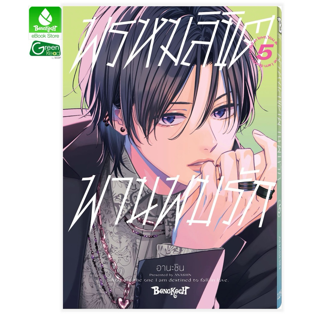 พรหมลิขิตพานพบรัก เล่ม1-5 พร้อมส่ง