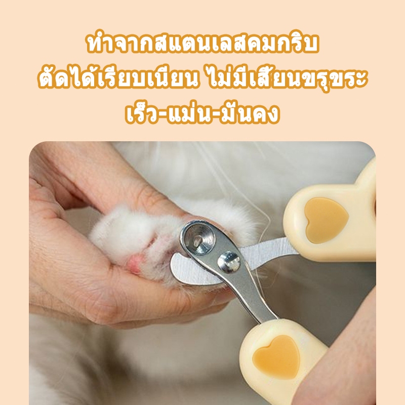 รูปภาพ 8