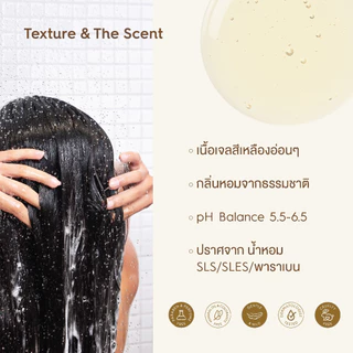 [2 ชิ้นเก็บโค้ดลดเพิ่ม] Kaff & Co. แชมพูสำหรับผมมัน ผมลีบแบน มีกลิ่นอับ ลดผมร่วง แชมพูสารสกัดเหง้าขิงและน้ำมันมะกรูด