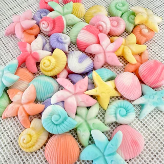 New!! Madame Sugar:น้ำตาลกัมเพส “หอยรวม ลายหินอ่อน” 🐚