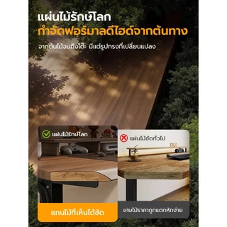 Xpanse โต๊ะปรับระดับไฟฟ้า ความหนาของท็อปโต๊ะ18ซม. โต๊ะทำงานตามหลักสรีรศาสตร์ มอเตอร์ไร้เสียง การยกที่มั่นคง โต๊ะคอม