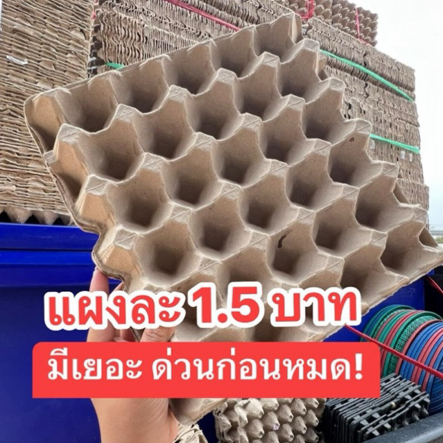 ส่งไวทันใจ แผงไข่กระดาษมือสอง 1.95บาท ถูกมาก(สั่งออเดอร์ละไม่เกิน100แผง) รีบกดก่อนหมด