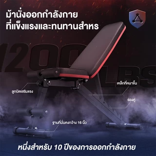 ม้านั่งฟิตเนส เก้าอี้ออกกำลังกาย ม้านั่งออกกำลังกาย เก้าอี้ฟิตเนส ม้านั่งออกำกาย ม้านั่งออกกำลังกาย มานั่งยกดัมเบล 600KG