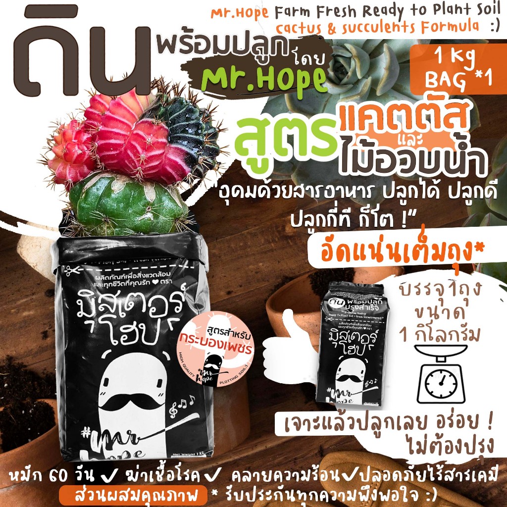 🔥ส่งฟรี🔥ดินแคตตัส ดินกระบองเพชร ดินปลูกปรุงสำเร็จ ผลิตภัณฑ์เพื่อสิ่งแวดล้อมตรามิสเตอร์โฮ๊ป 1kg x1ถุง (Cactus Soil)