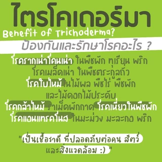 🔥สดใหม่🔥ขุยมะพร้าวร่อนละเอียด หมัก ไตรโคเดอร์ม่าพร้อมใช้ ผลิตภัณฑ์เพื่อสิ่งแวดล้อม ตรามิสเตอร์โฮป