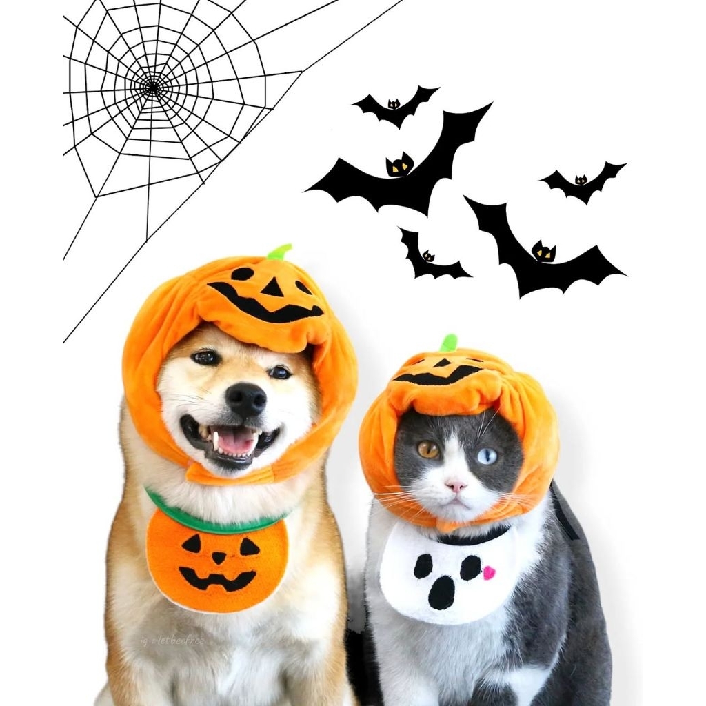 🎈พร้อมส่ง🎈หมวกฟักทองหมา 🎃 หมวกฮาโลวีนแมว หมวกฟักทองแมว ผ้าพันคอหมาแมว