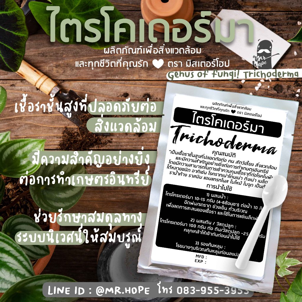 ไตรโคเดอร์มา ชนิดผง100กรัม x 3ชอง # trichoderma ป้องกันและกำจัดโรคพืชที่เกิดจากเชื้อรา ราคา ถูกที่สุด ดีลบีเคเค แกลเลอรีภาพที่ 3