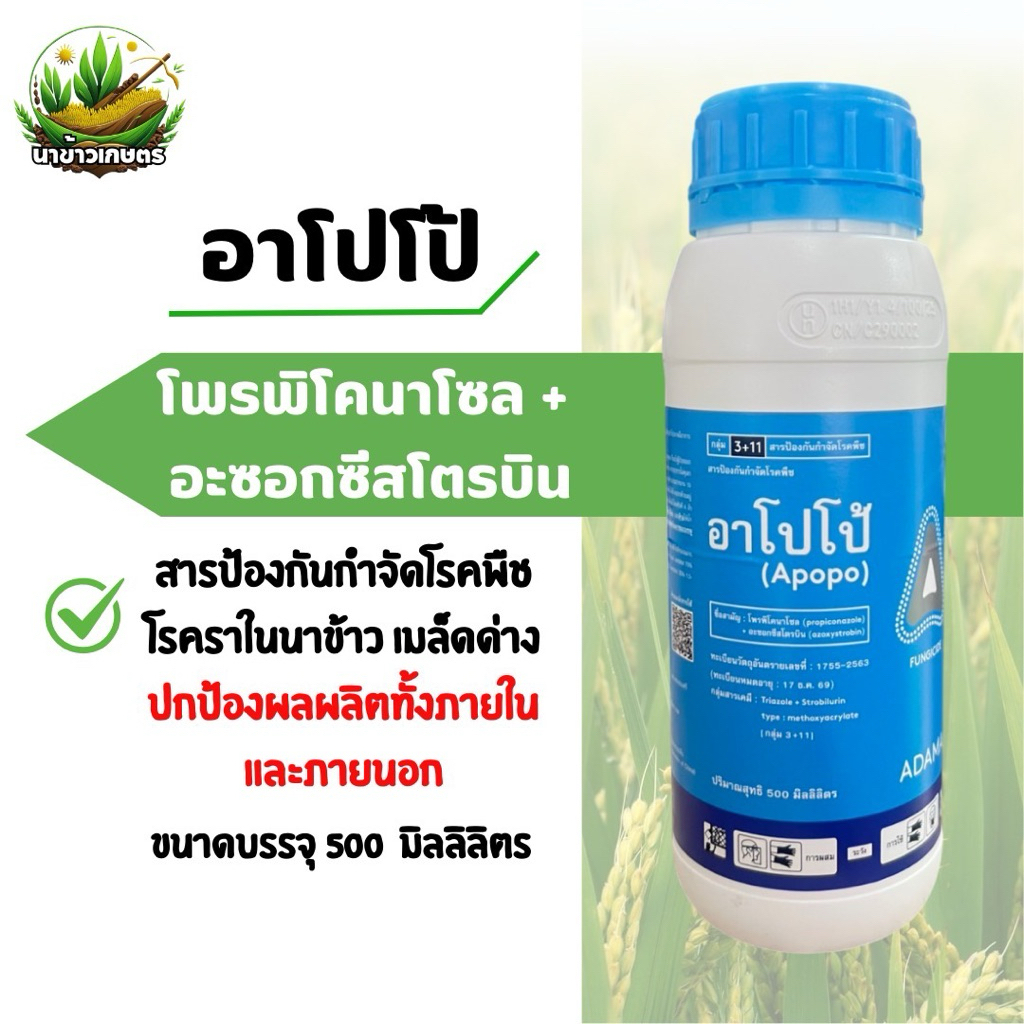 อาโปโป้ 500ซีซี (โพรพิโคนาโซล + อะซอกซีสโตรบิน) ป้องกันกำจัดโรคพืช โรคราในนาข้าว