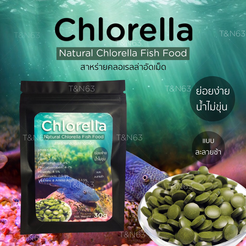 อาหารปลาผีเสื้อ ปลาบู่  ปลาติดหิน Gastromyzon สาหร่ายคลอเรลล่าอัดเม็ด สาหร่ายอัดเม็ด