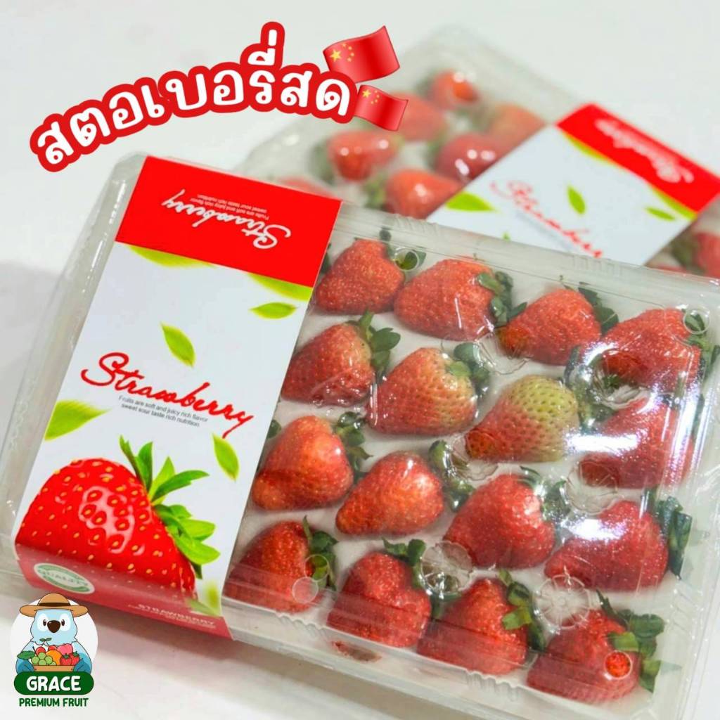 สตอเบอรี่สด 🍓 1แพ็ค 20-24 ลูก คัดก่อนส่งทุกลูก โปรดอ่านรายละเอียดก่อนสั่งซื้อ