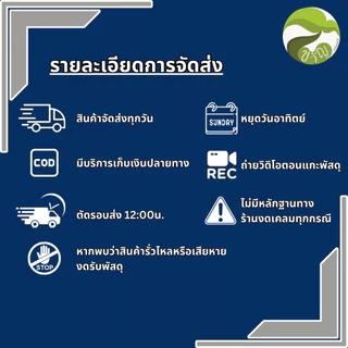เมล็ดพันธุ์ดอกไม้ แบบซอง เจียไต๋ ขายส่ง ราคาถูก ยกแพค บรรจุแพ็คละ 10 ซอง