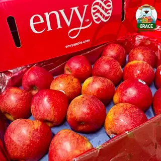 แอปเปิ้ลเอ็นวี่ Envy Apple อเมริกา ไซส์ L