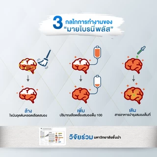 MyBraini+ (มายไบรนี่พลัส) โปร 5 กล่อง - รบำรุงสมอง ความจำ คิดค้นโดยผู้เชี่ยวชาญด้านสมุนไพรกว่า 10ปี