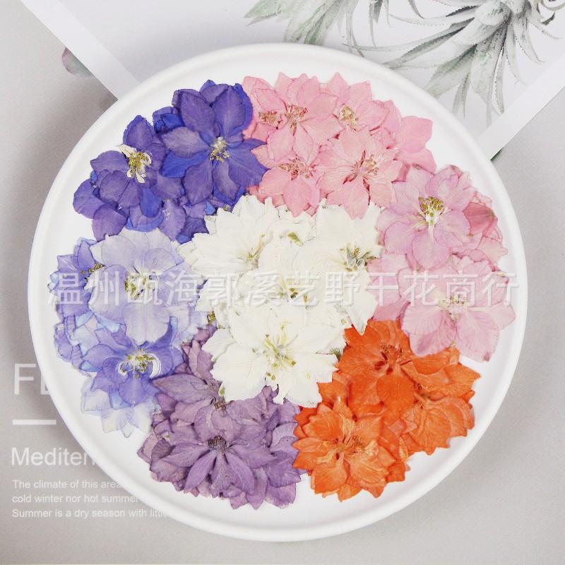 ดอกไม้ปลอม ดอกไม้แห้งนูนเครื่องประดับ DIY ทำมือกาวหยดเคสโทรศัพท์มือถือกรอบรูปดอกไม้แห้งแต่งหน้าจี้อะโรมาเธอราพี