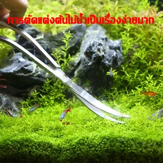 long forceps 14-30cm แหนบสแตนเลส ฟอร์เซป คีมฟอร์เซป ปากคีบ คีมคีบยาว สำหรับตู้ปลา ปลายตรงและปลายงอ