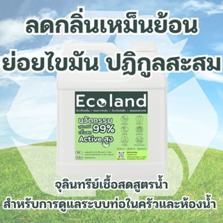 Ecoland จุลินทรีย์เชื้อสด ลดกลิ่นเหม็น ย่อยสลายไขมัน ป้องกัน…