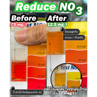 Denitrate powder ลดไนเตรต สร้างตะไคร่เขียว กรีนวอล(Greenwall) อาหารปลาและสิ่งมีชีวิตขนาดเล็กเห็นผลไว