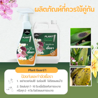 ProGarden บำรุงกล้วยไม้ เพิ่มช่อดอก ขยายช่อดอก ดอกใหญ่ สีสด ลายชัด บานทน ใบเขียวหนา รากขาวอวบ ปุ๋ยกล้วยไม้ อะมิโน