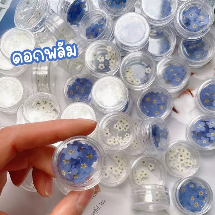 ดอกพลัมPLUM ขนาด0.5-1cm ดอกไม้ทับแห้ง สำหรับทำเล็บ เครื่องประดับ DIY(1กระปุก/20ชิ้น)