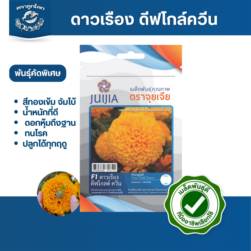 ตราลูกโลก เมล็ดดาวเรือง ดีฟโกล์ควีน Marigold เมล็ดพันธุ์ผัก ผักสวนครัว ผักซอง ดอกไม้ ลูกโลก จำนวน 10 เมล็ด