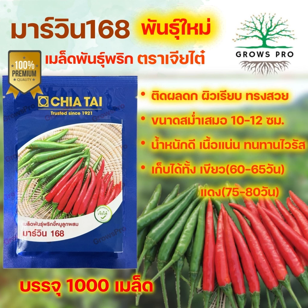 GrowsPro เมล็ดพริกพันธุ์ผสม เจียไต๋ มาร์วิน168 ขนาด 1000 เมล็ด พริกฝน ขนาด 10-12 ซม. ปลูกได้ทุกฤดู