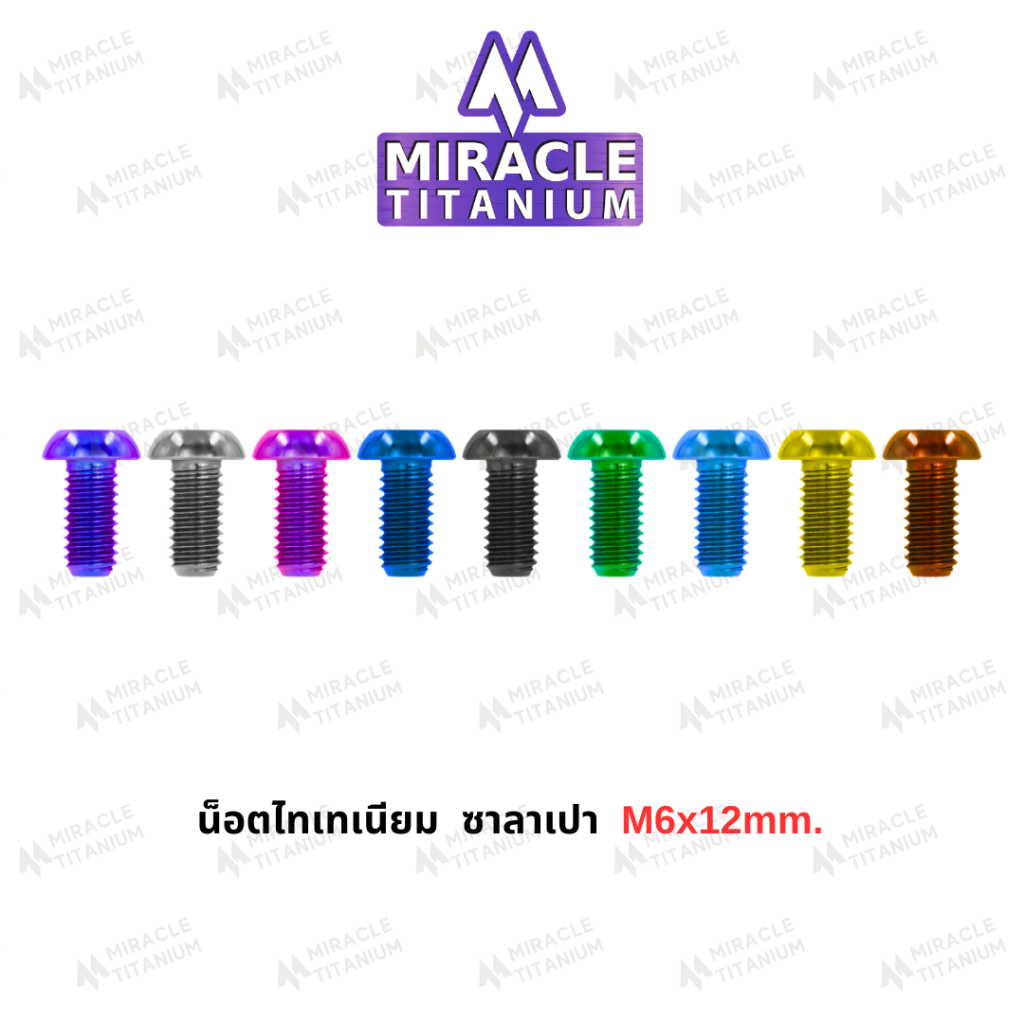 Button Head หัวซาลาเปา M6 x 12 mm.