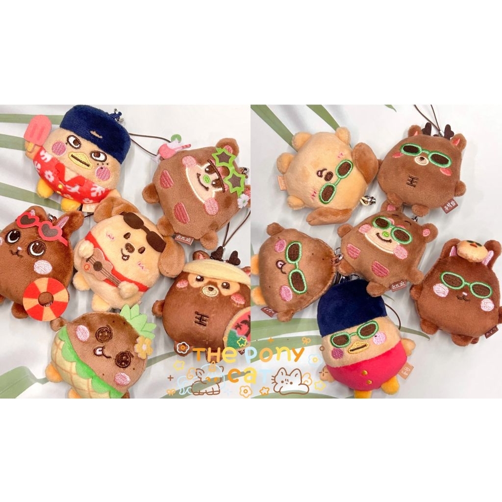 พร้อมส่งในไทย RIIZE Mini Official Keyring Summer/Sunglass ver.